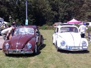 Beetle Show Rioz (103)